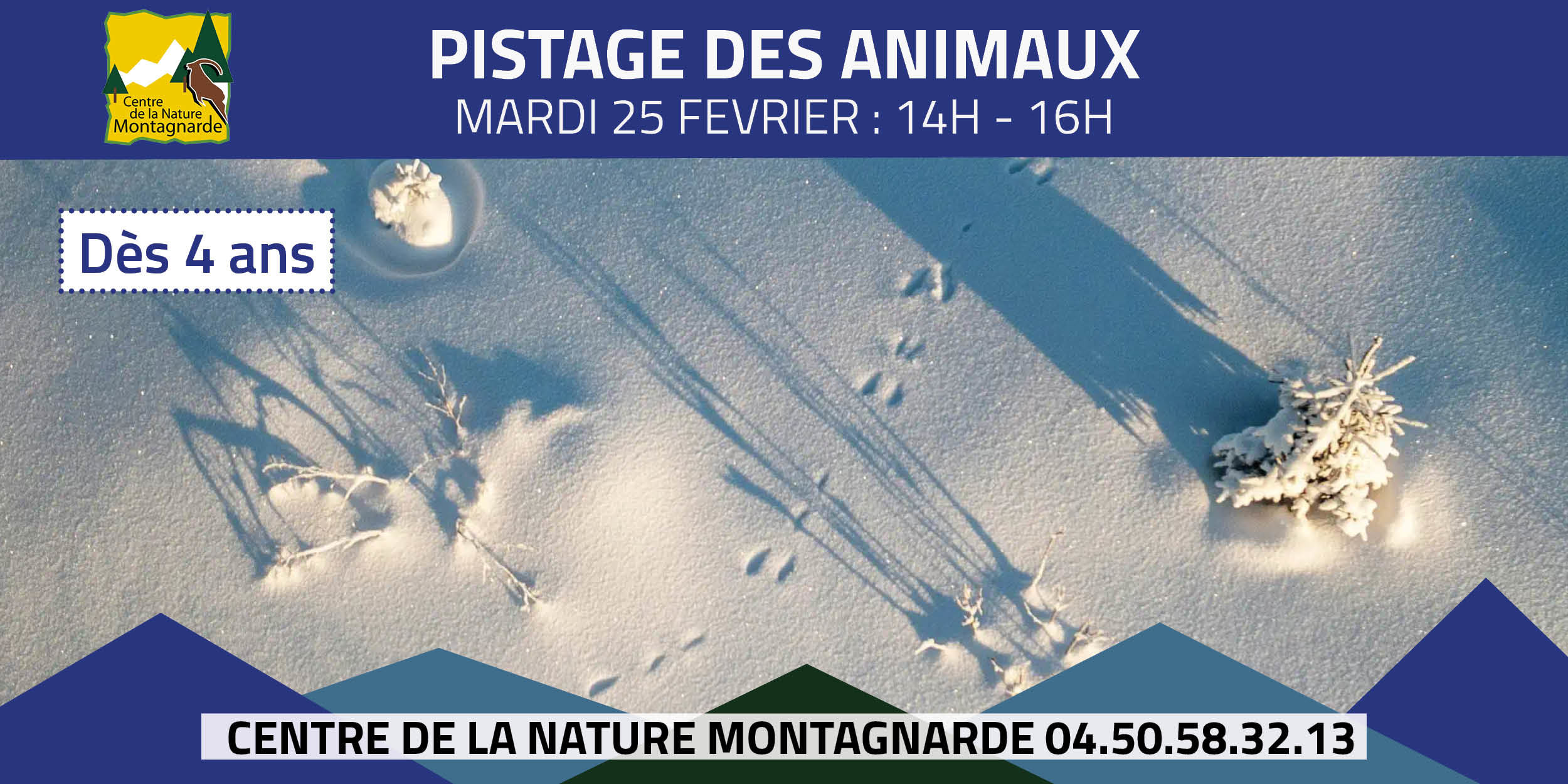 Pistage des animaux